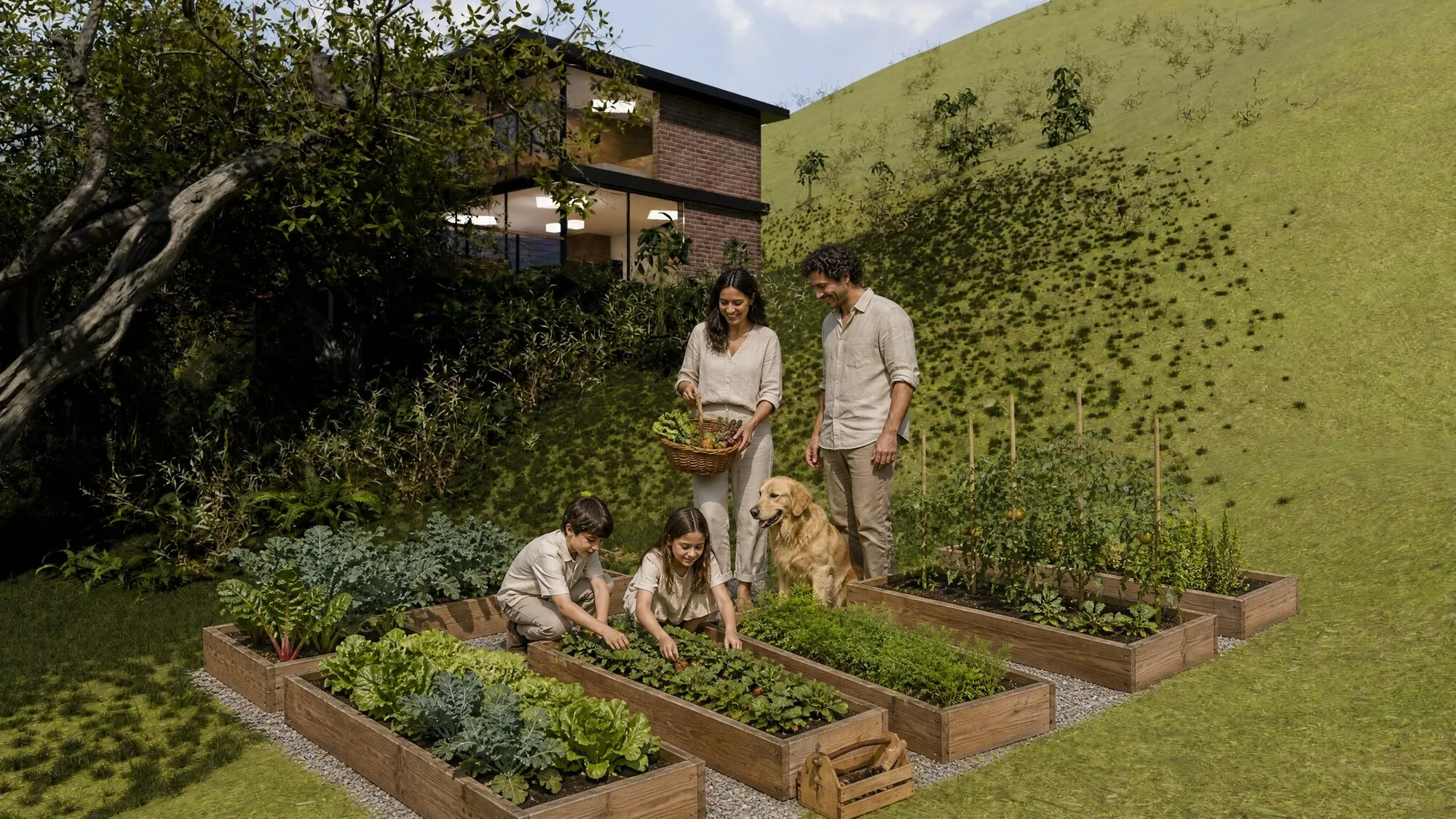 Tu huerta: seis camas de cultivo para cosechar en familia