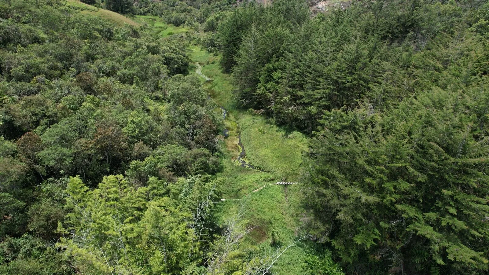 Bosque y reserva natural