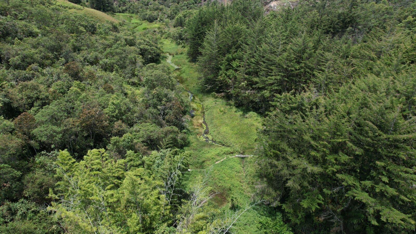 Bosque y reserva natural