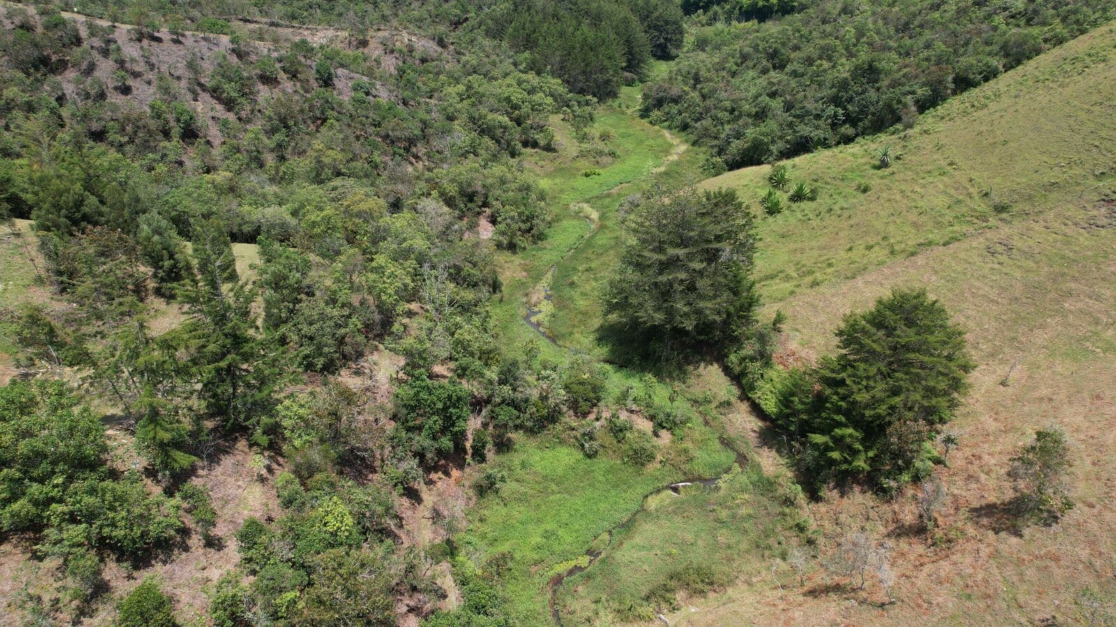 Naturaleza que te rodea