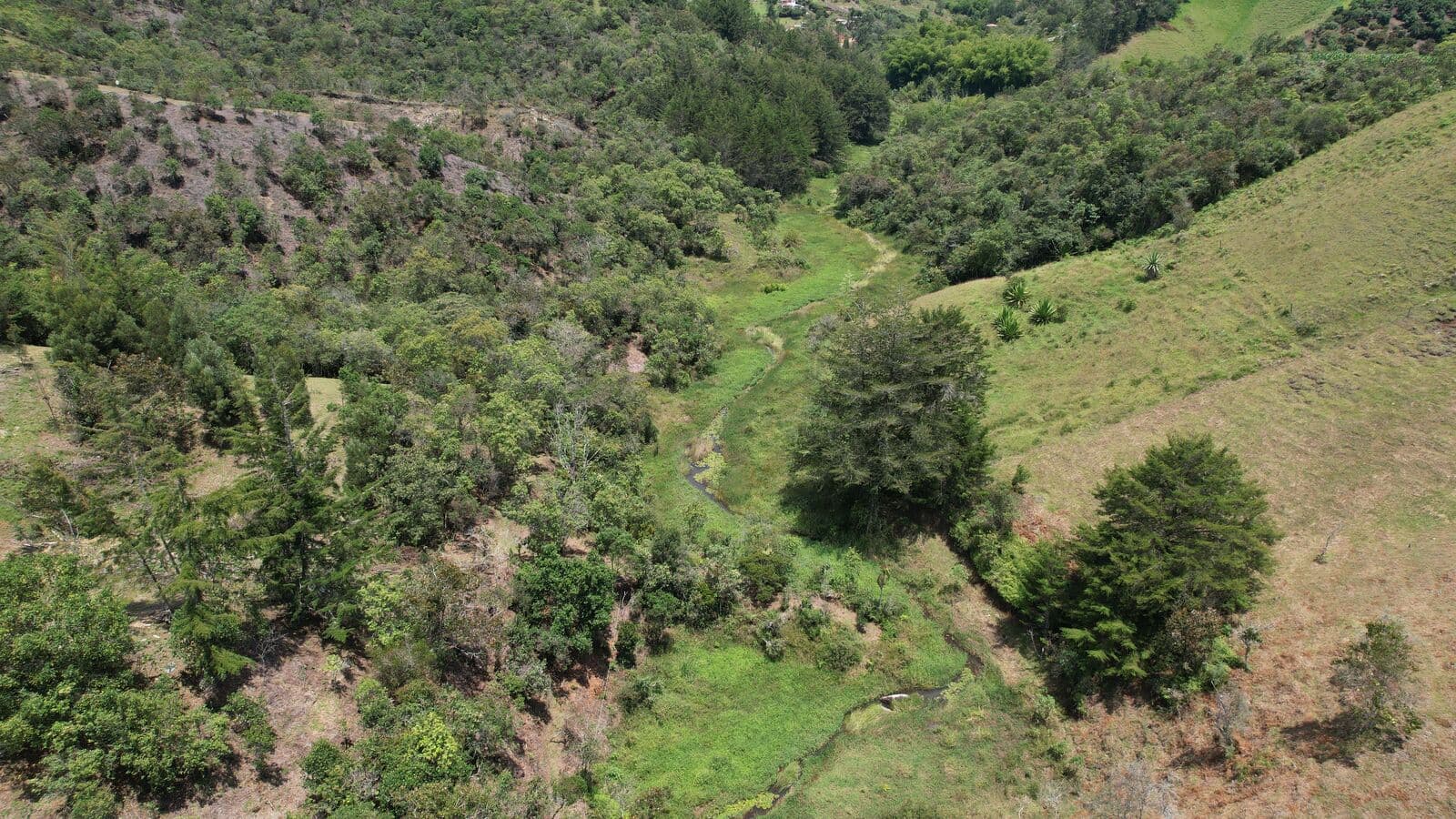 Verde en cada rincón