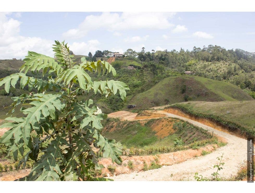 Foto principal