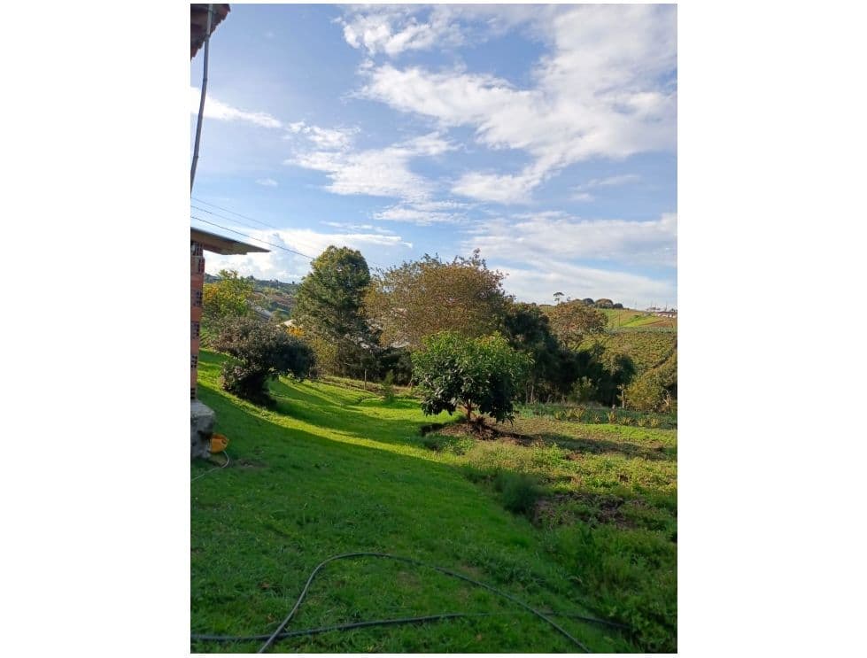 Foto principal