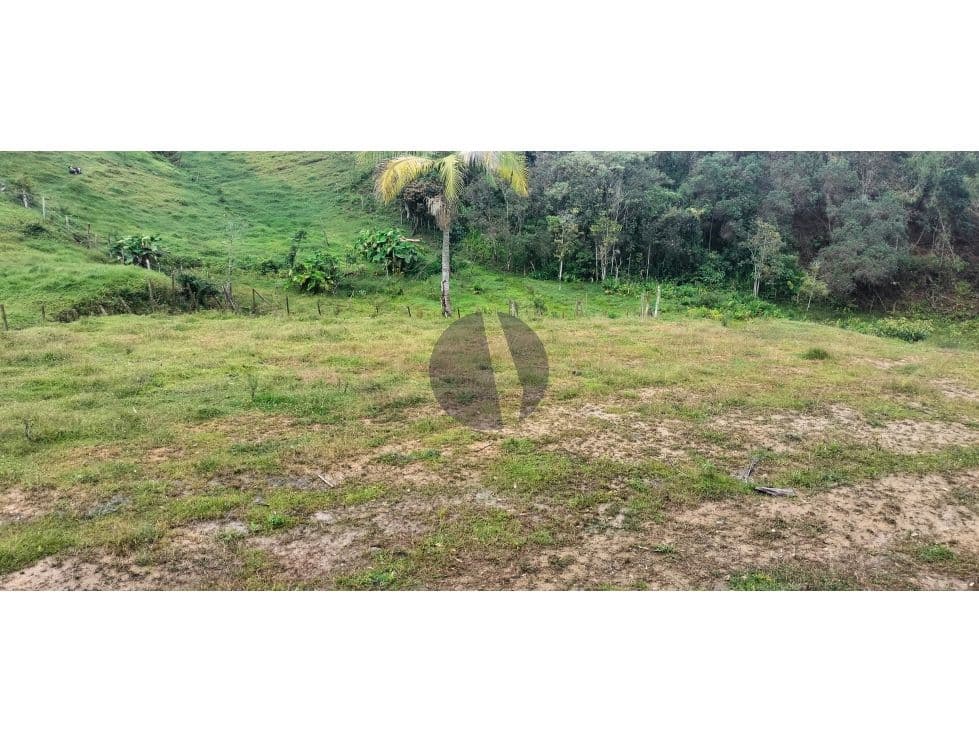 Foto principal