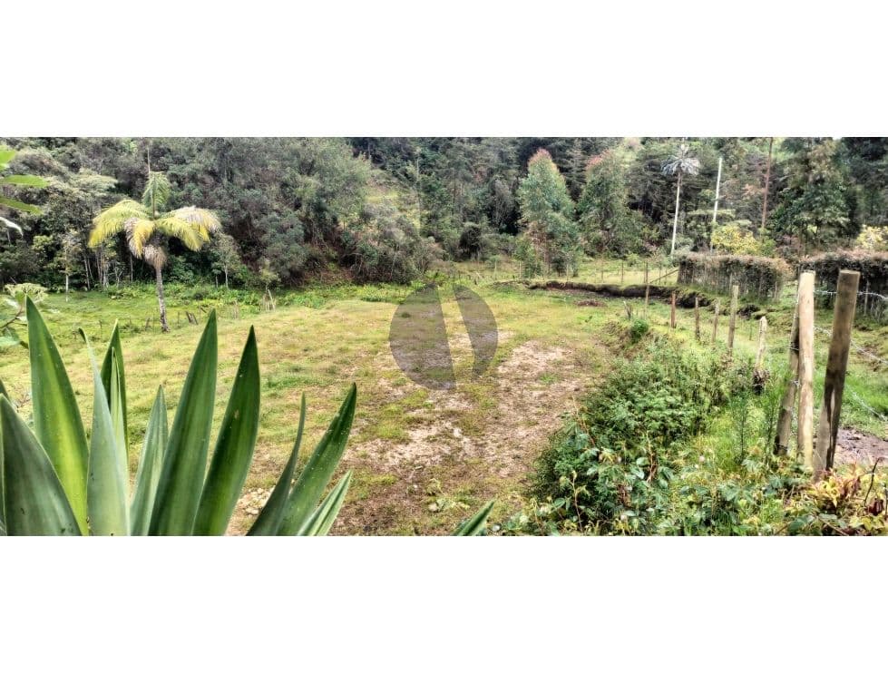 Foto principal