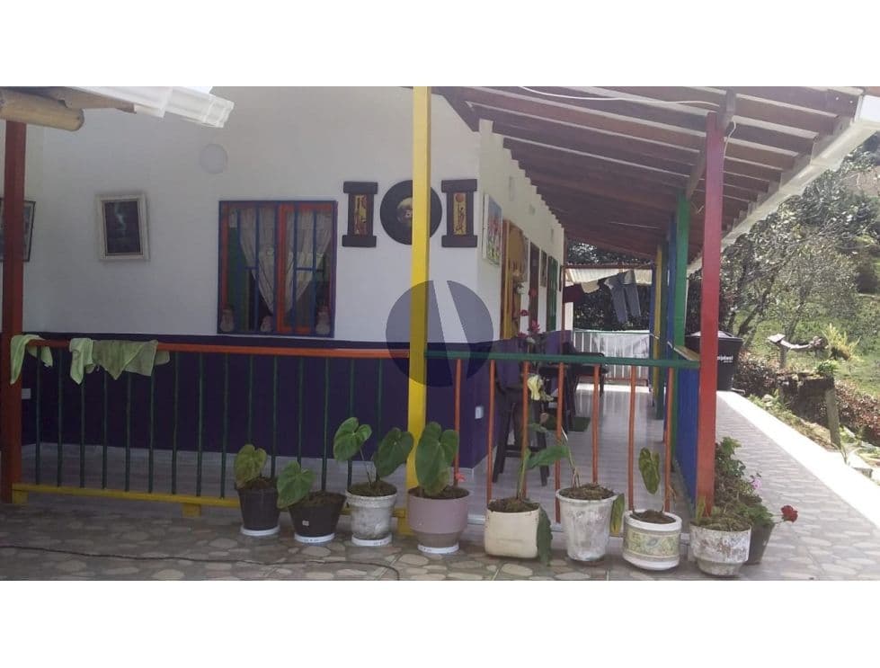 Foto principal