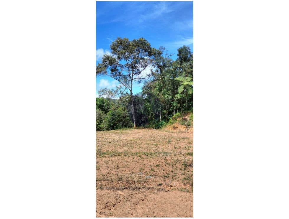 Foto principal