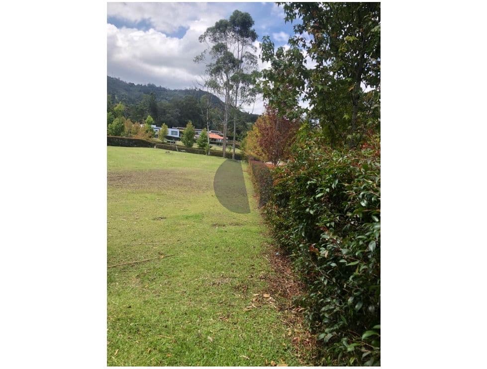 Foto principal