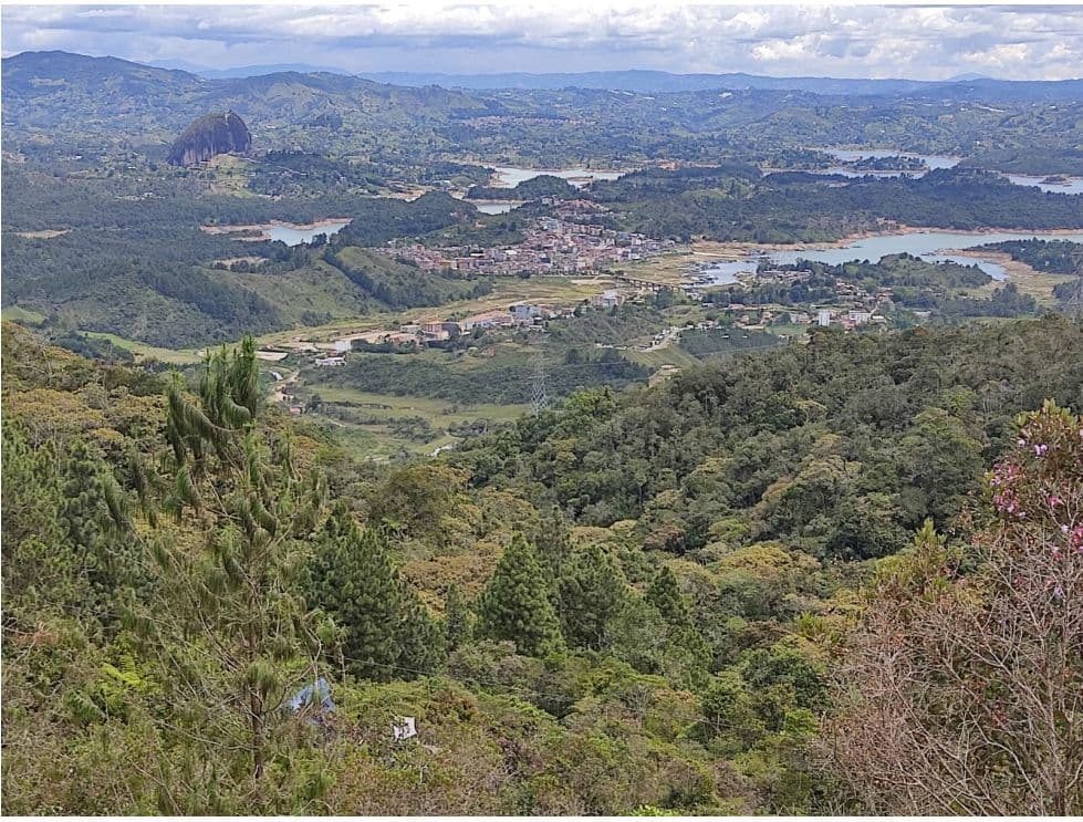 Foto principal