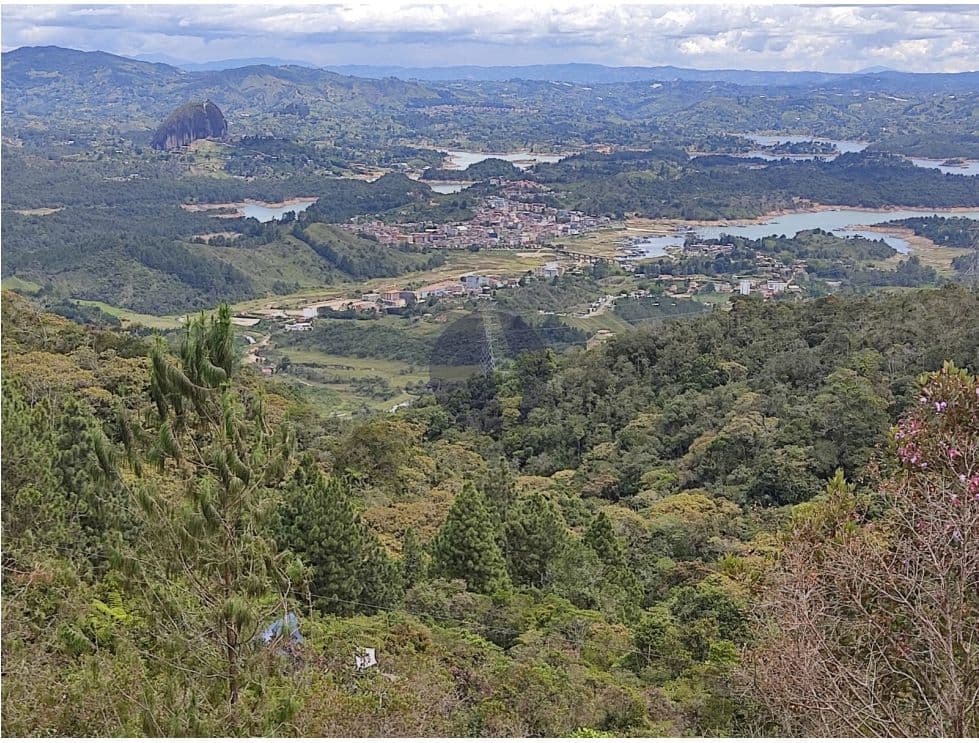 Foto principal