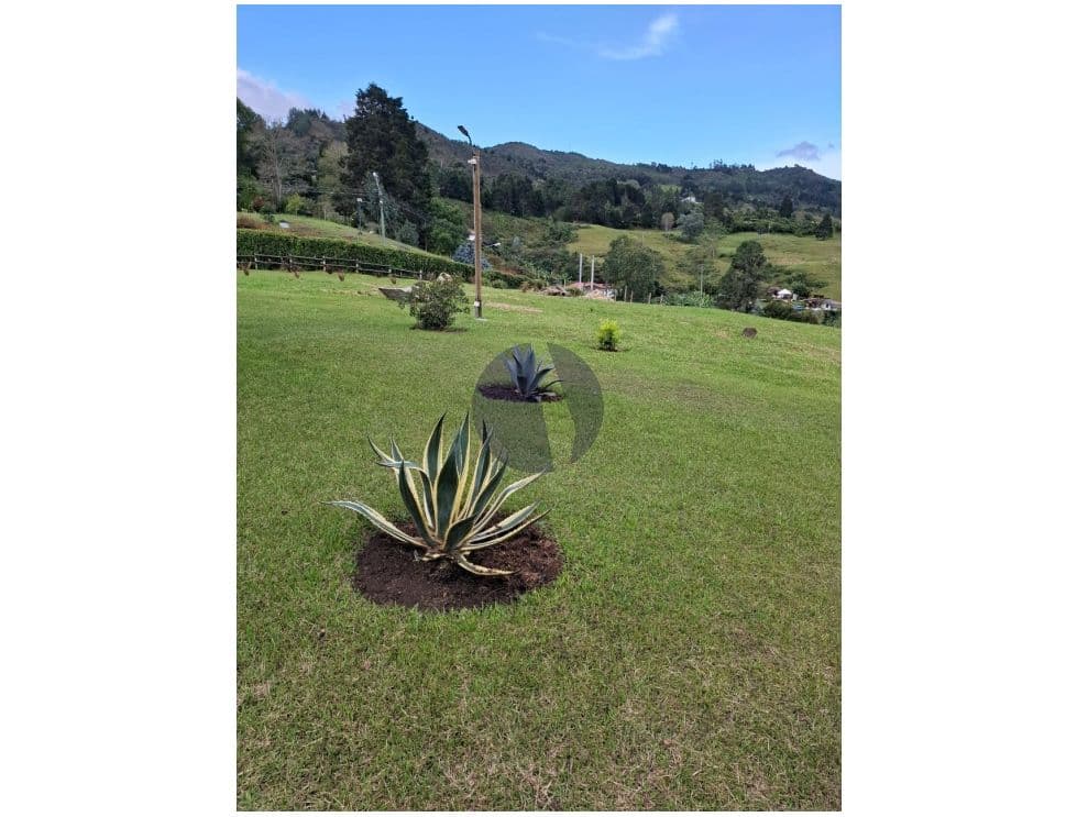 Foto principal